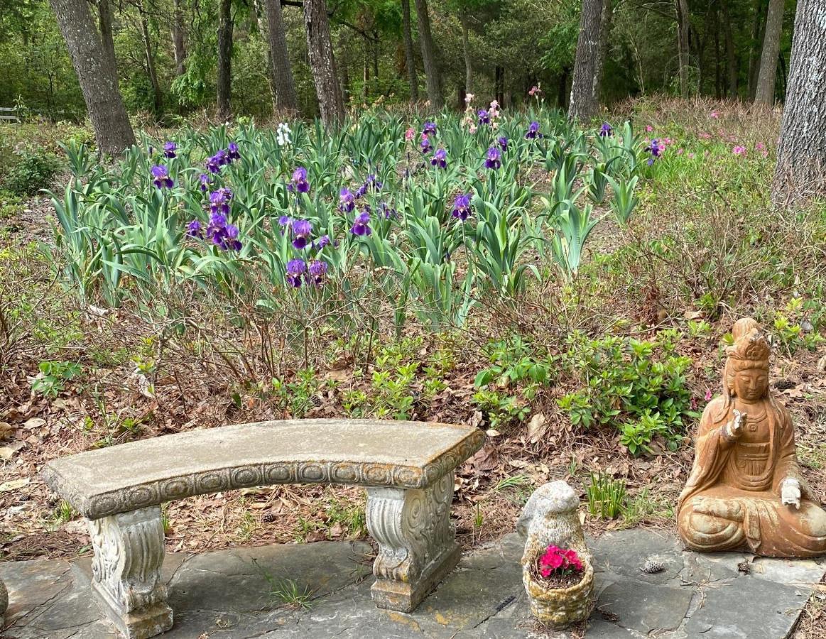 Mineola Dogwood Springs Lodgings מראה חיצוני תמונה