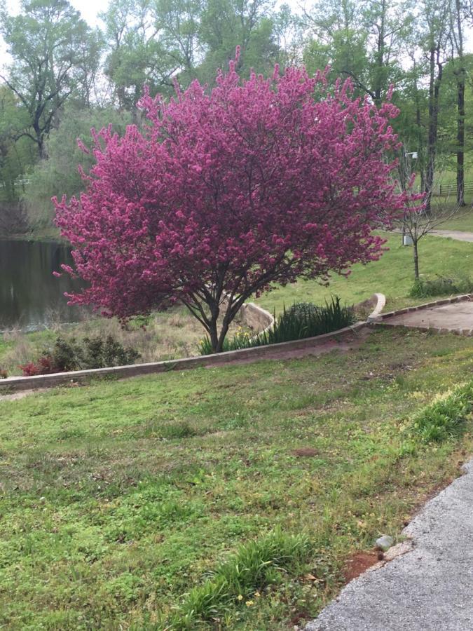 Mineola Dogwood Springs Lodgings מראה חיצוני תמונה