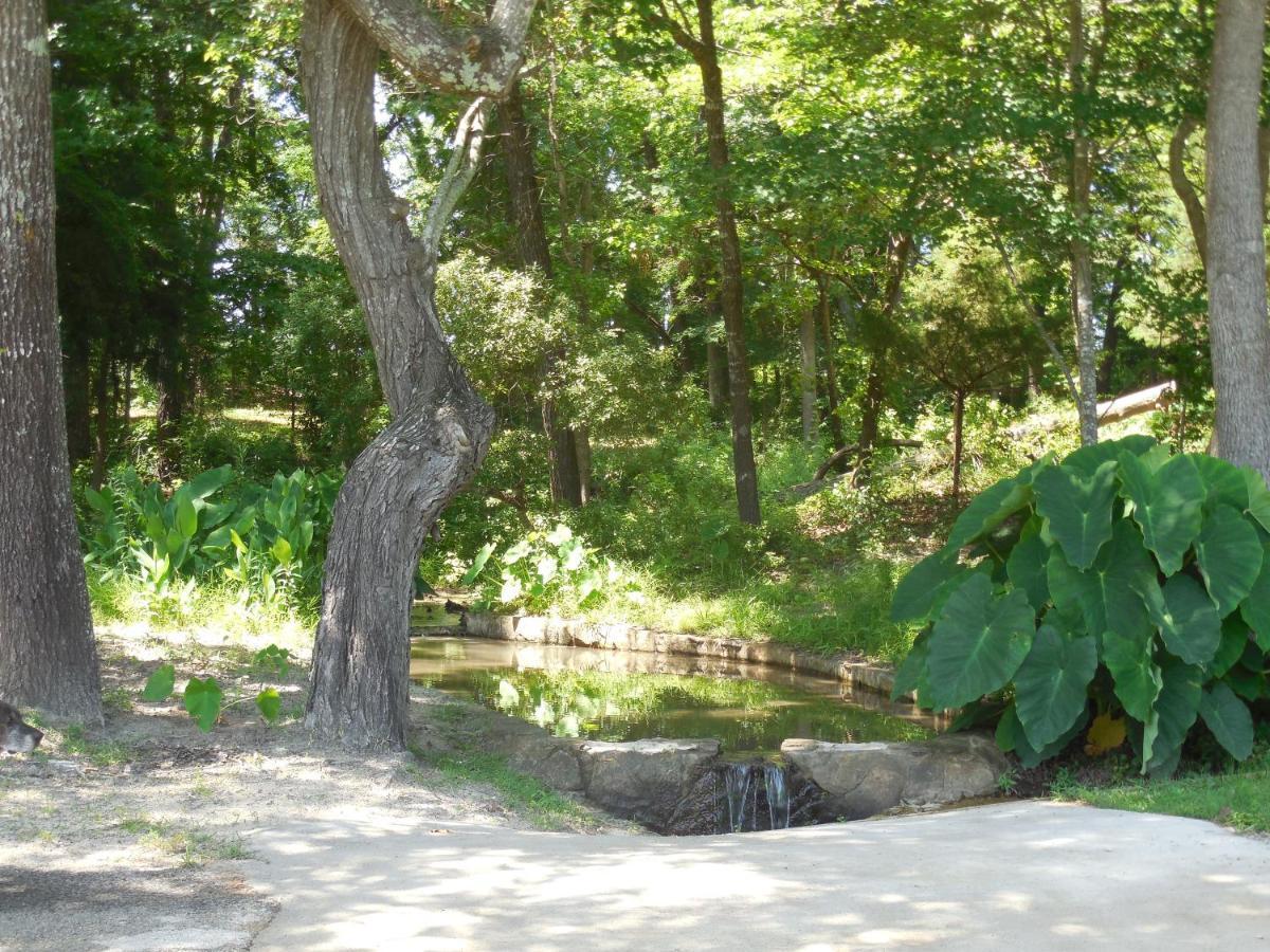 Mineola Dogwood Springs Lodgings מראה חיצוני תמונה