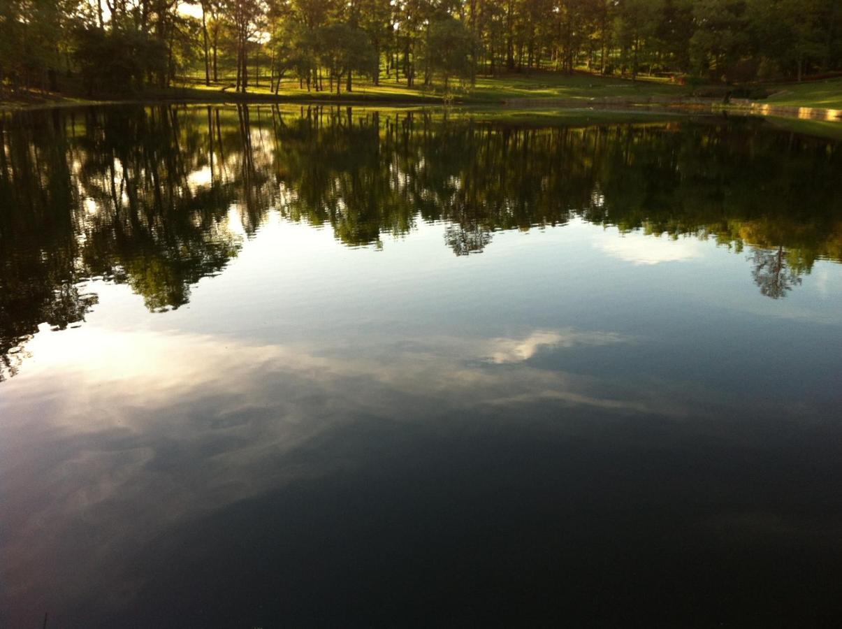 Mineola Dogwood Springs Lodgings מראה חיצוני תמונה