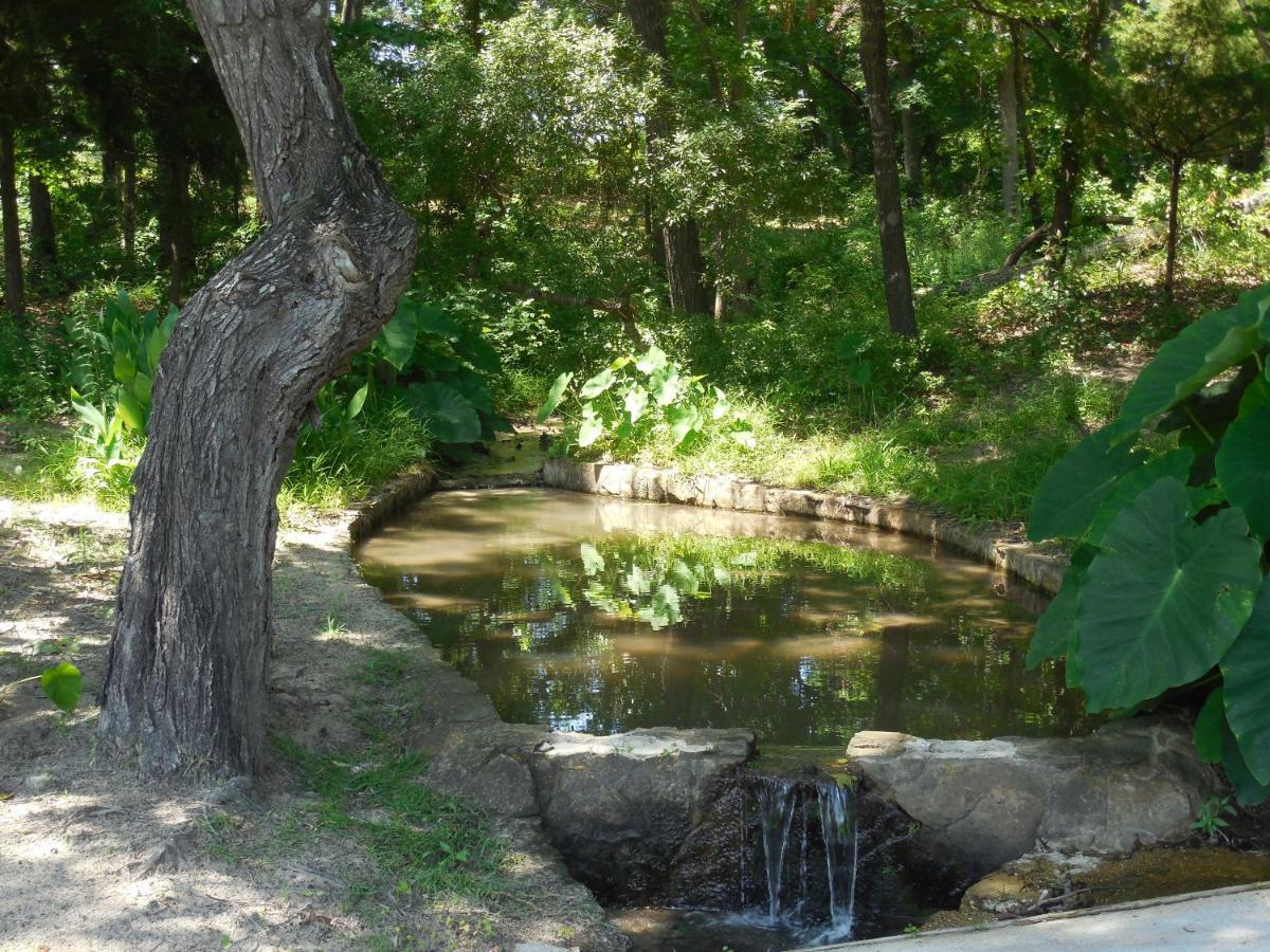 Mineola Dogwood Springs Lodgings מראה חיצוני תמונה