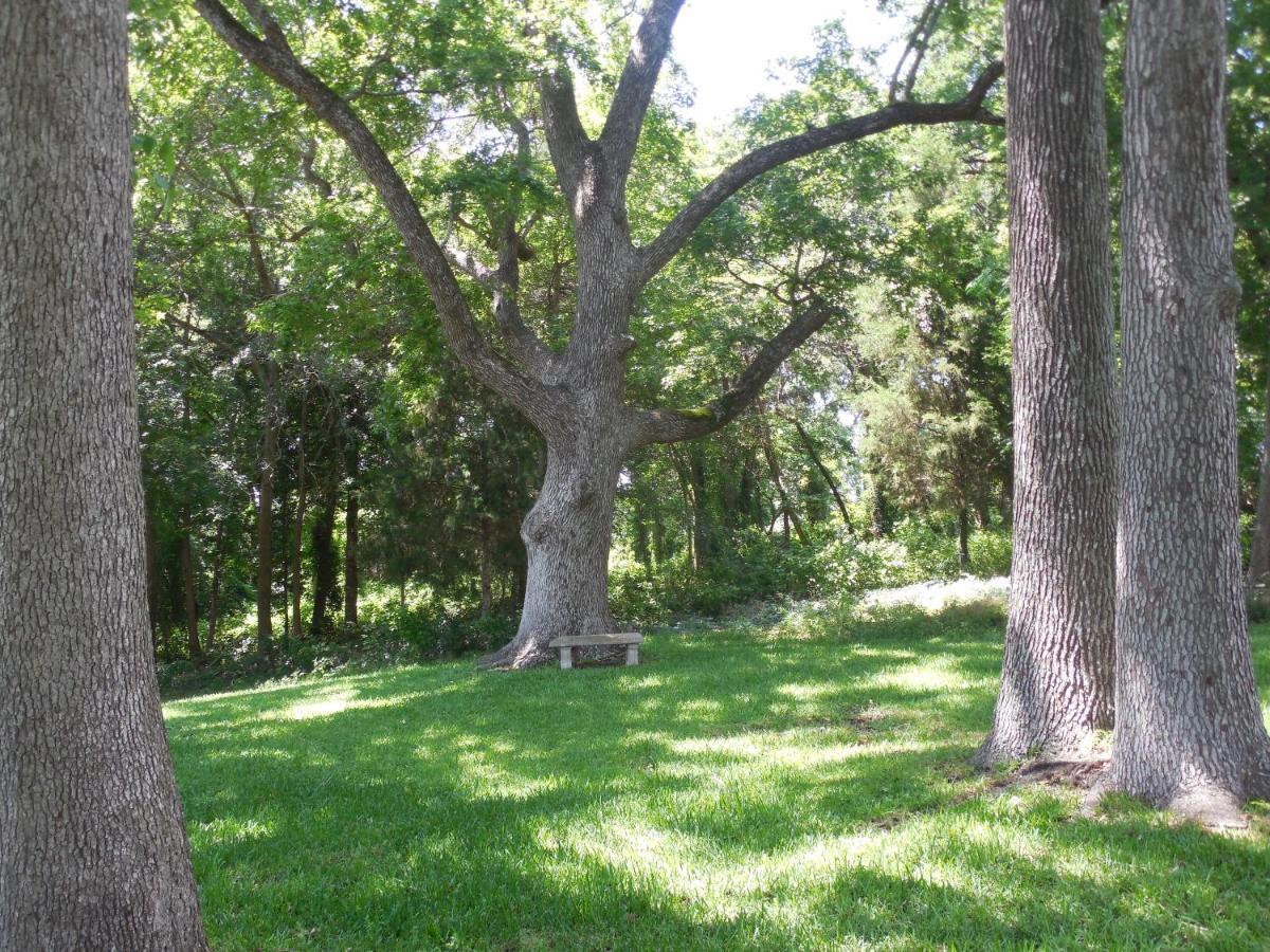 Mineola Dogwood Springs Lodgings מראה חיצוני תמונה
